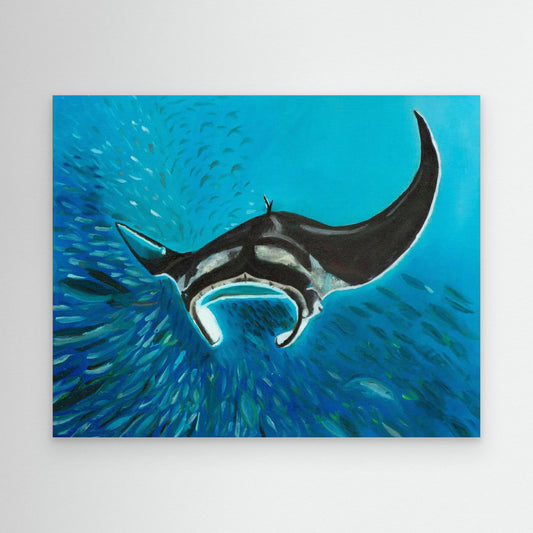 Freedom Manta Ray with School of Fish Canvas Art Print