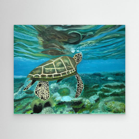Turtle Reflection Canvas Art Print