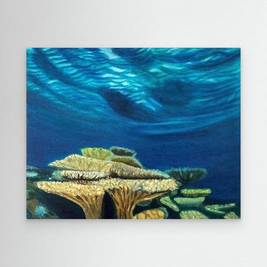 Pacific Light Coral Heads I Canvas Art Print