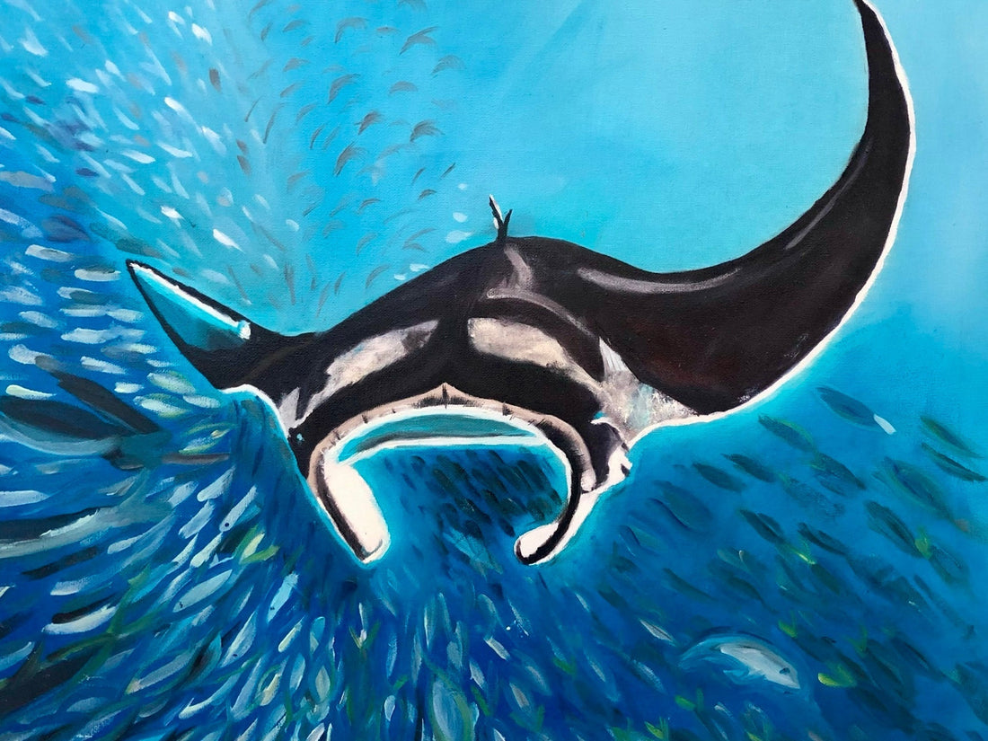 Manta ray I Original Oil Painting by S Valenti Art
