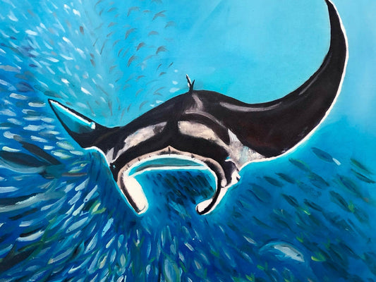 Manta ray I Original Oil Painting by S Valenti Art
