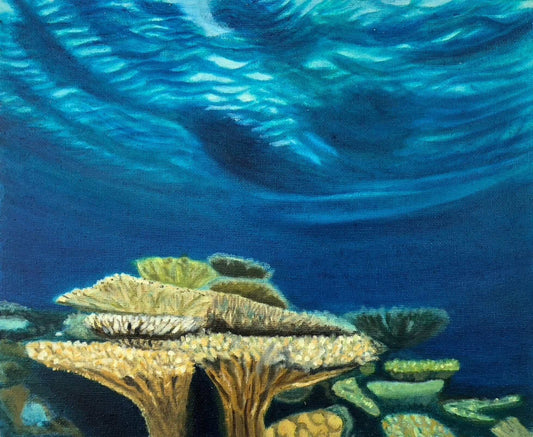 Coral heads I original oil painting by S Valenti