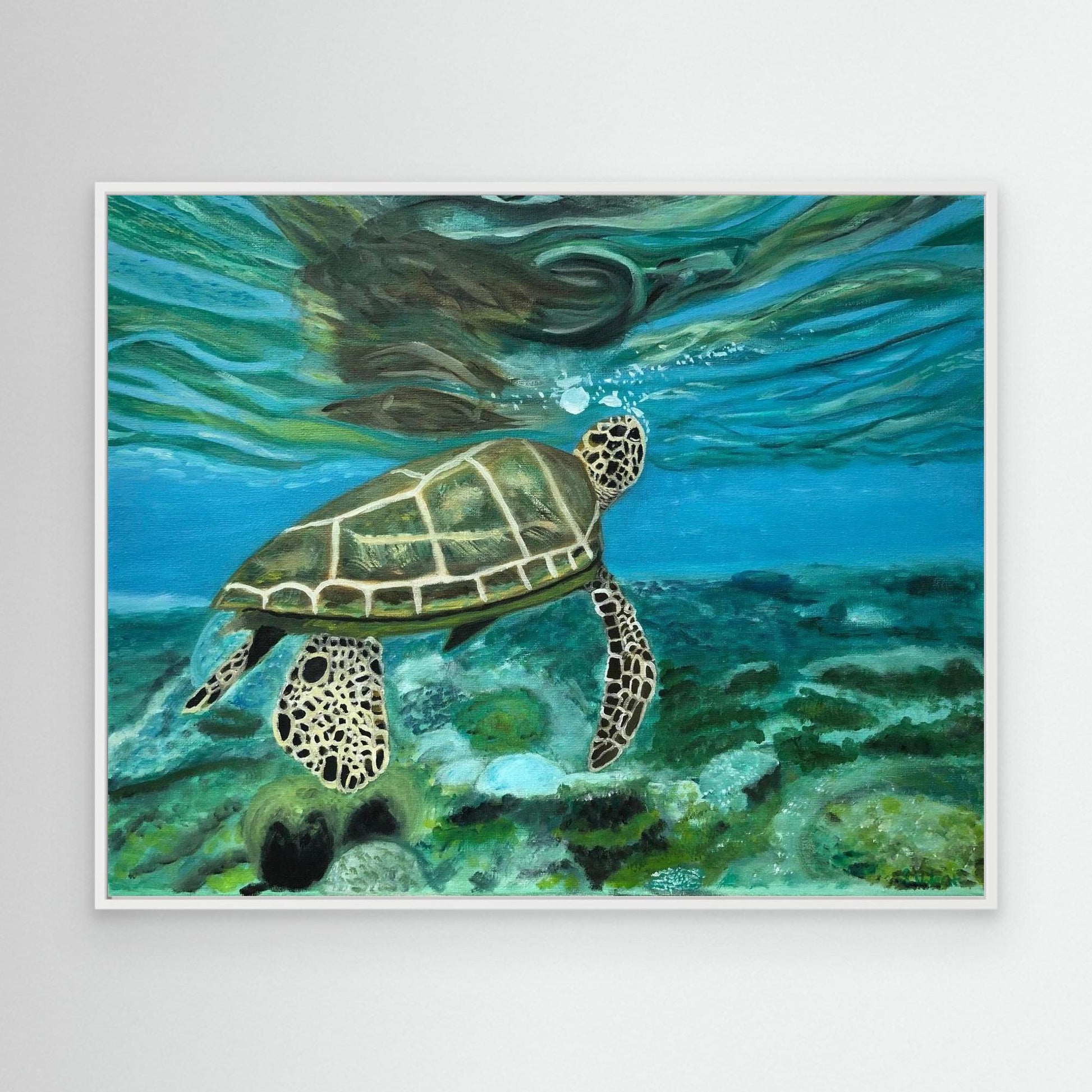 Turtle Reflection Canvas Art Print