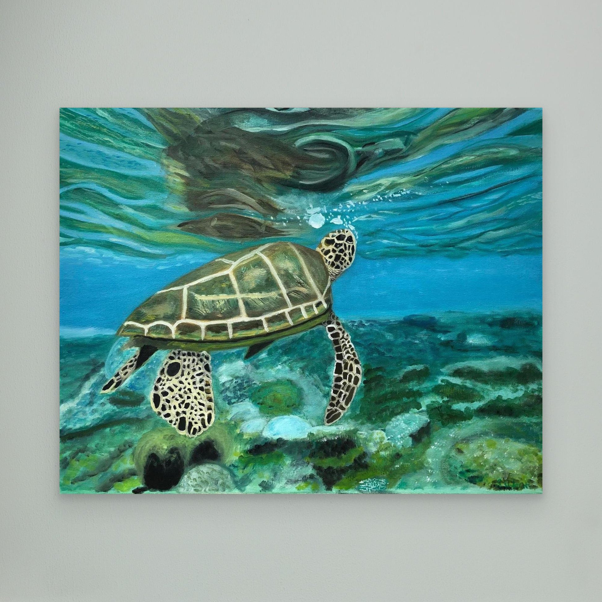 Turtle Reflection Canvas Art Print