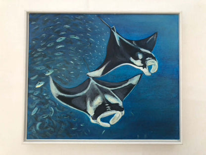 Manta ray II Original Oil Painting by S Valenti framed in white tray frame