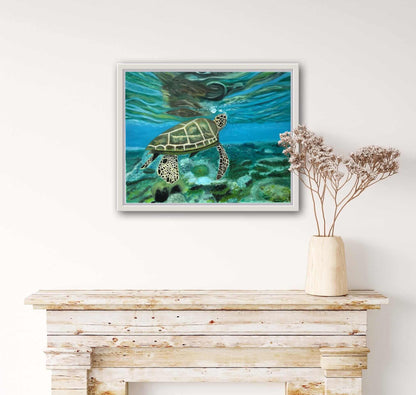 Turtle 'A Breath of Air' Original Oil Painting by S Valenti framed in white on wall