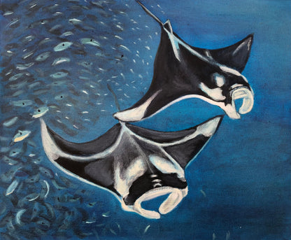 Manta ray II Original Oil Painting by S Valenti