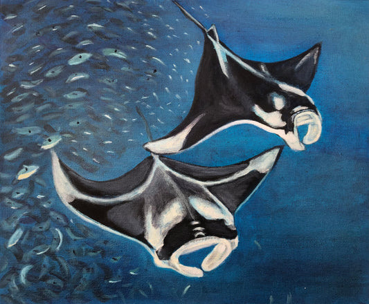 Manta ray II Original Oil Painting by S Valenti