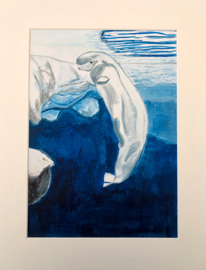 Beluga whale acrylic painting by S Valenti in white mount