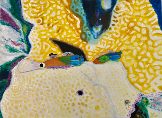 Blennies I Original Painting by S Valenti