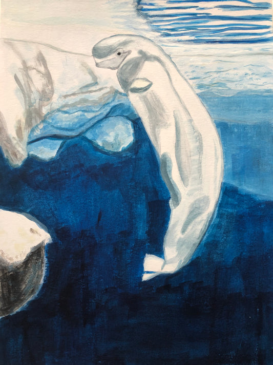 Beluga whale acrylic painting on paper