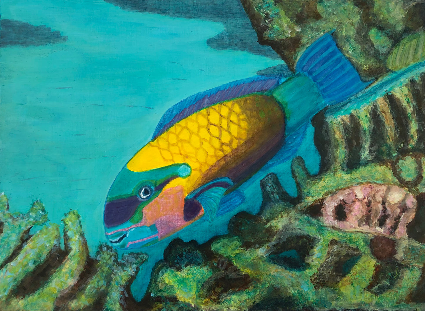 Parrot fish I original acrylic painting by S Valenti