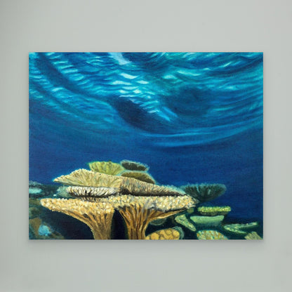 Pacific Light Coral Heads I Canvas Art Print